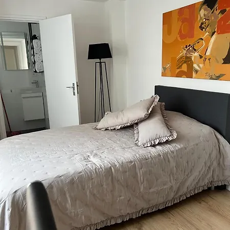 2 Bedroom 1 Floor In Vrijheidstraat 3